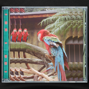 日本義父强奸熟女
